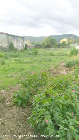 SE VENDE SOLAR EN TORAL DE LOS VADOS - LEON