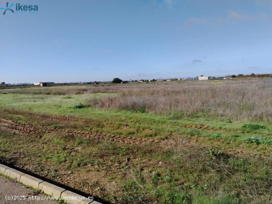 Venta de Suelo Urbanizable Residencial en Pueblonuevo del Guadiana (Badajoz) - BADAJOZ