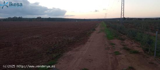 Venta de Finca Rústica en Villalba de los Barros (Badajoz) - BADAJOZ