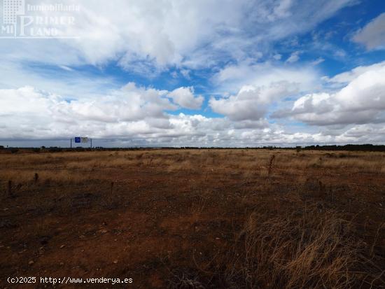 Se vende parcela rustica de secano de 2 hectareas - CIUDAD REAL