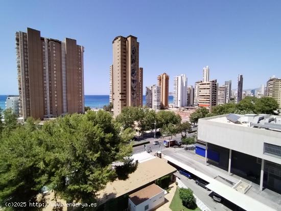 Precioso estudio situado en la Avenida Mediterraneo. Reformado. con parkin y piscina. - ALICANTE