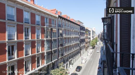 Amplia habitación con escritorio en el departamento compartido, Puerta del Sol - MADRID