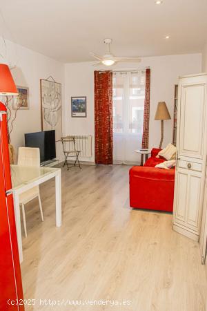  Apartamento entero de 1 habitaciones en Madrid - MADRID 