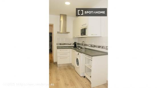 Apartamento entero de 1 habitaciones en Madrid - MADRID