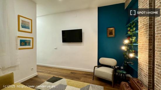 Apartamento entero de 1 habitaciones en Madrid - MADRID