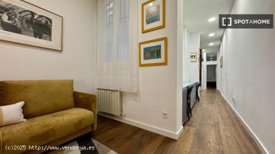 Apartamento entero de 1 habitaciones en Madrid - MADRID