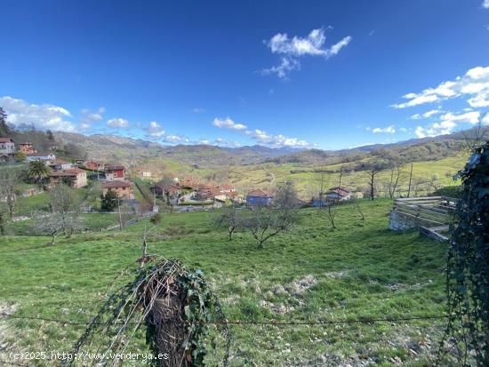 FINCA EDIFICABLE A 2,5 KM DE CANGAS DE ONIS - ASTURIAS