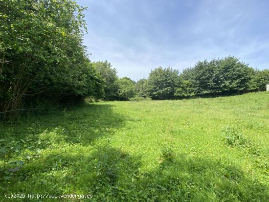 VENTA DE FINCA UBICADA A 7 KM DE LA PLAYA DE VEGA - ASTURIAS