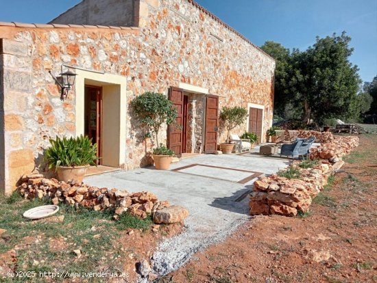  Finca en venta en Sencelles (Baleares) 