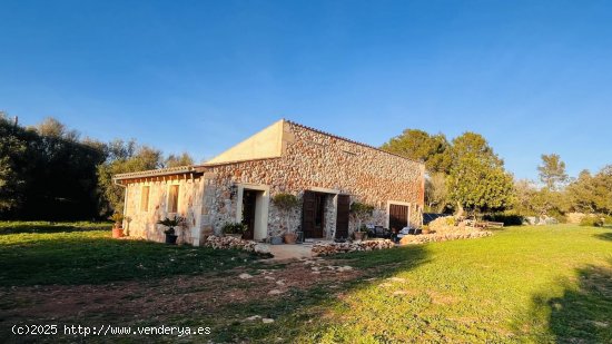 Finca en venta en Sencelles (Baleares)