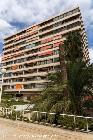  Estudio en alquiler en Torremolinos (Málaga) 