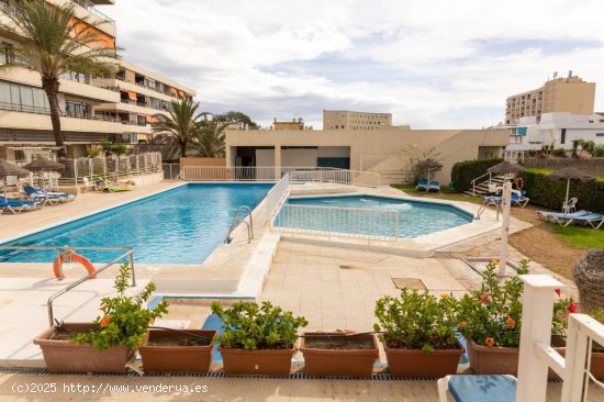 Estudio en alquiler en Torremolinos (Málaga)