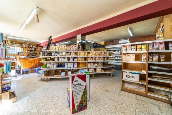 LOCAL COMERCIAL EN TRASPASO - BALEARES