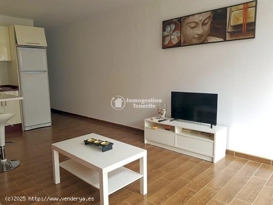 Apartamento en alquiler en Arona (Tenerife)