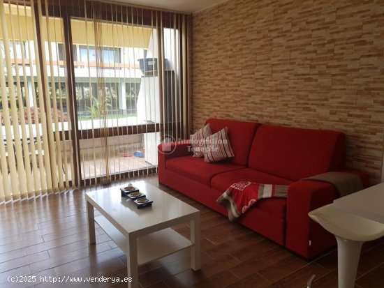 Apartamento en alquiler en Arona (Tenerife)