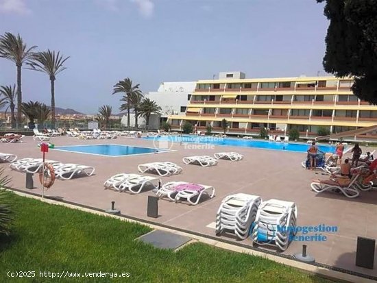 Apartamento en alquiler en Arona (Tenerife)