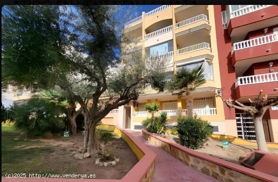 APARTAMENTO ATICO LA MATA - ALICANTE