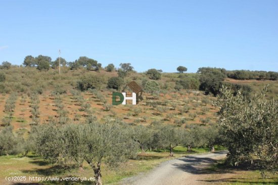 Solar en venta en Villar del Rey (Badajoz)