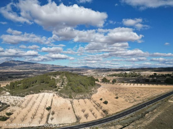  Solar en venta en Abanilla (Murcia) 