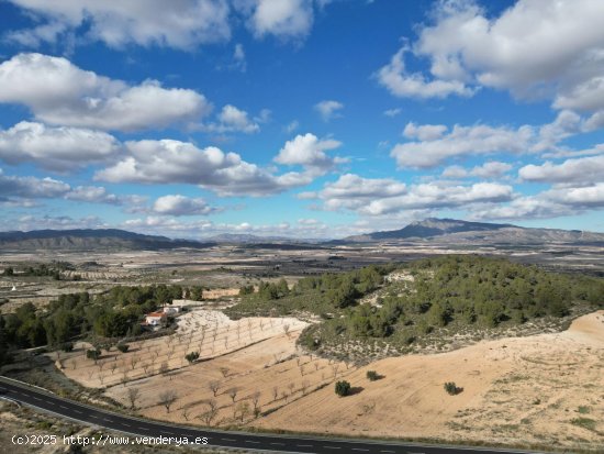 Solar en venta en Abanilla (Murcia)