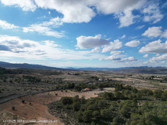 Solar en venta en Abanilla (Murcia)