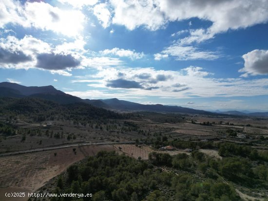 Solar en venta en Abanilla (Murcia)