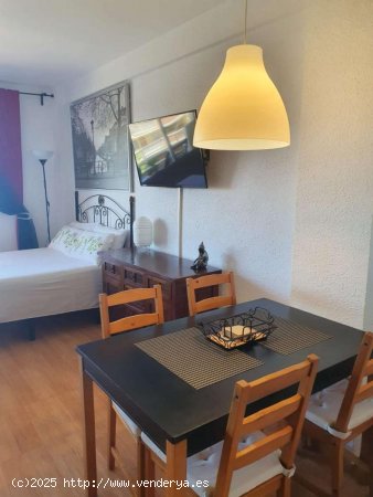 Estudio en alquiler en Torremolinos (Málaga)