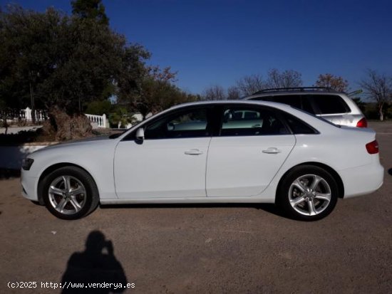 AUDI A4 en venta en Marchena (Sevilla) - Marchena