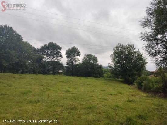 Terreno urbano La Cavada - CANTABRIA