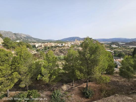 TERRENO DE 385 M2 EN LA NUCIA (IDEAL PARA HUERTO, PLANTAR ARBOLES FRUTALES..) - ALICANTE