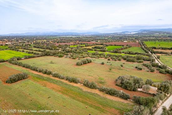  FINCA RÚSTICA CON CASA DE PIEDRA, ENTRE FELANITX Y PORRERES - BALEARES 