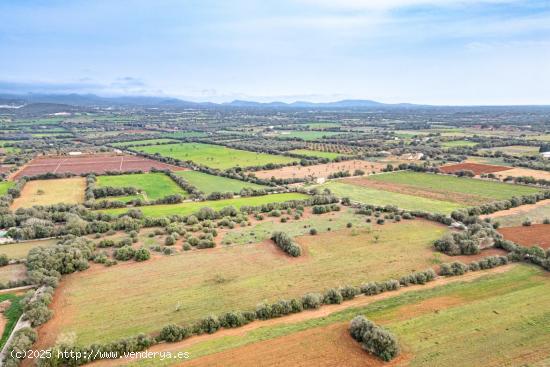 FINCA RÚSTICA CON CASA DE PIEDRA, ENTRE FELANITX Y PORRERES - BALEARES