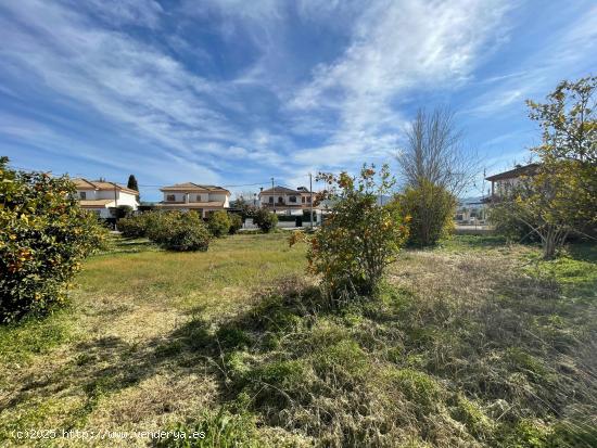 TERRENO URBANO EN LA HUERTA  DE ALJUCER - MURCIA