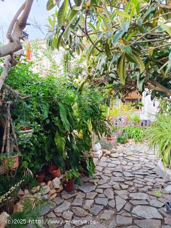 Planta baja con jardin el la Regia - ALICANTE