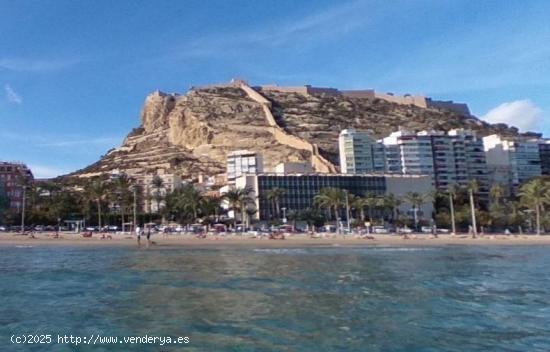 CENTRO, Castaños, alquiler - ALICANTE