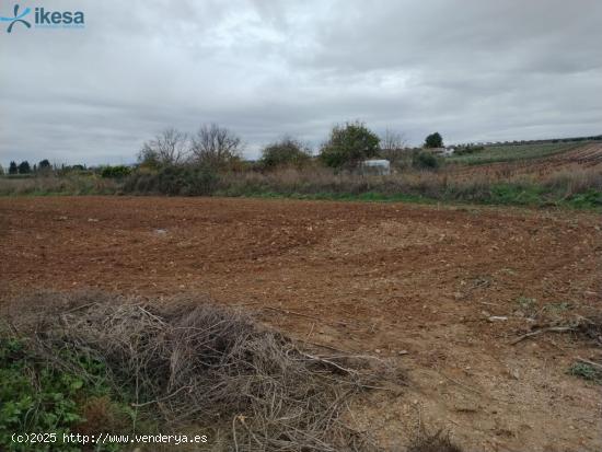 Venta de Finca Rústica en Polígono POLIGONO 15 Nº 119 Villalba de los Barros (Badajoz) - BADAJOZ