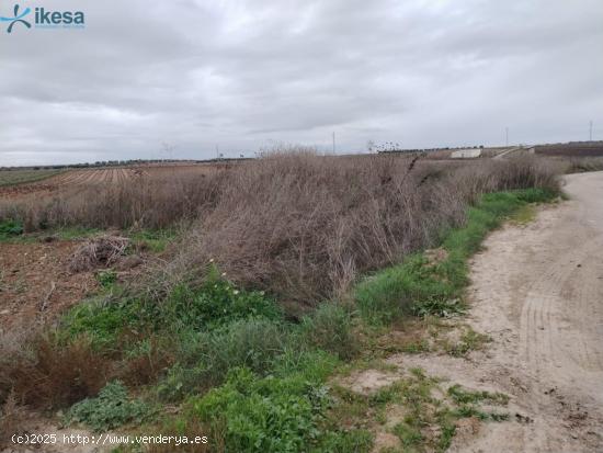 Venta de Finca Rústica en Polígono POLIGONO 15 Nº 119 Villalba de los Barros (Badajoz) - BADAJOZ