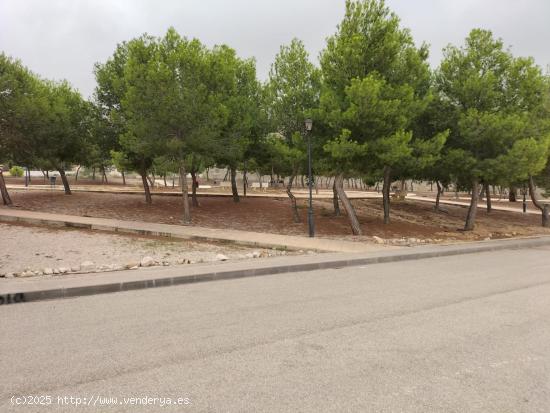 TERRENO URBANO EN COX - ALICANTE