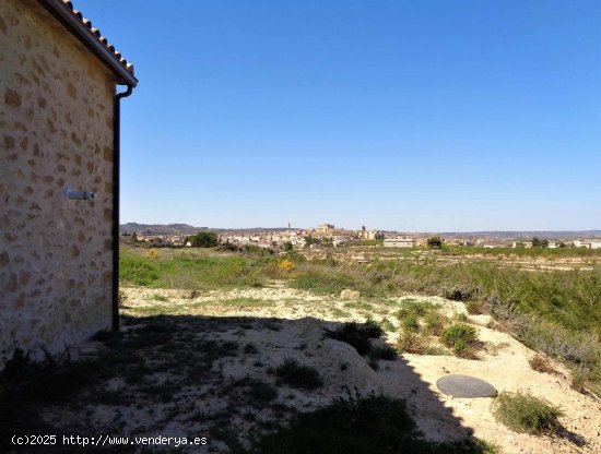 Finca en venta en Maella (Zaragoza)