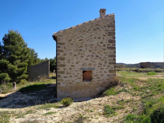 Finca en venta en Maella (Zaragoza)