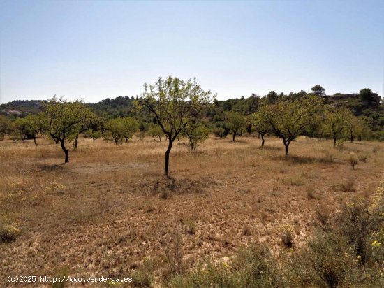 Finca en venta en Maella (Zaragoza)