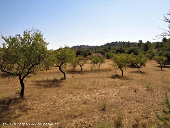 Finca en venta en Maella (Zaragoza)