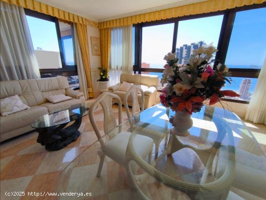 Apartamento en venta en Benidorm (Alicante)