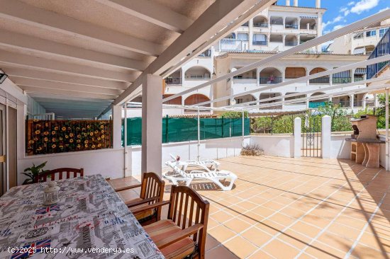  Apartamento en alquiler en Benalmádena (Málaga) 