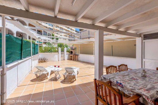 Apartamento en alquiler en Benalmádena (Málaga)