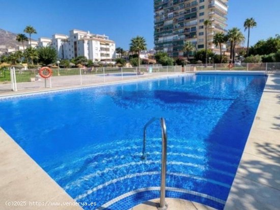 Estudio en alquiler en Benalmádena (Málaga)