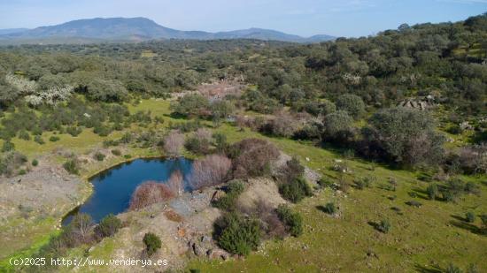 MAGNÍFICA FINCA RÚSTICA EN EXTREMADURA - CACERES