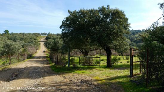 MAGNÍFICA FINCA RÚSTICA EN EXTREMADURA - CACERES