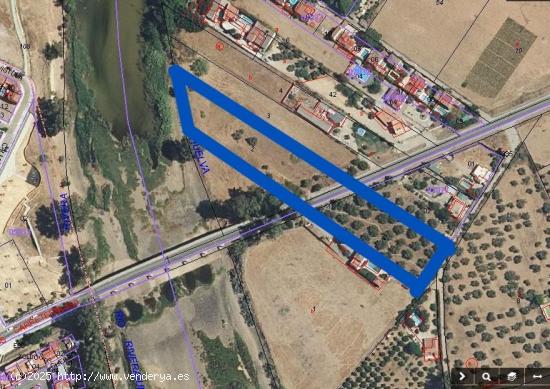  TERRENO EN VENTA  EN LA LOCALIDAD DE GUILLENA. - SEVILLA 