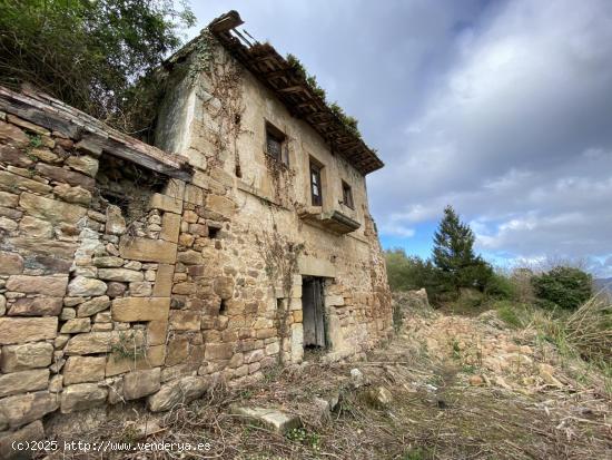  EXCLUSIVA PROPIEDAD CON VISTAS A LA RIA Y 70 HECTAREAS DE TERRENO - ASTURIAS 